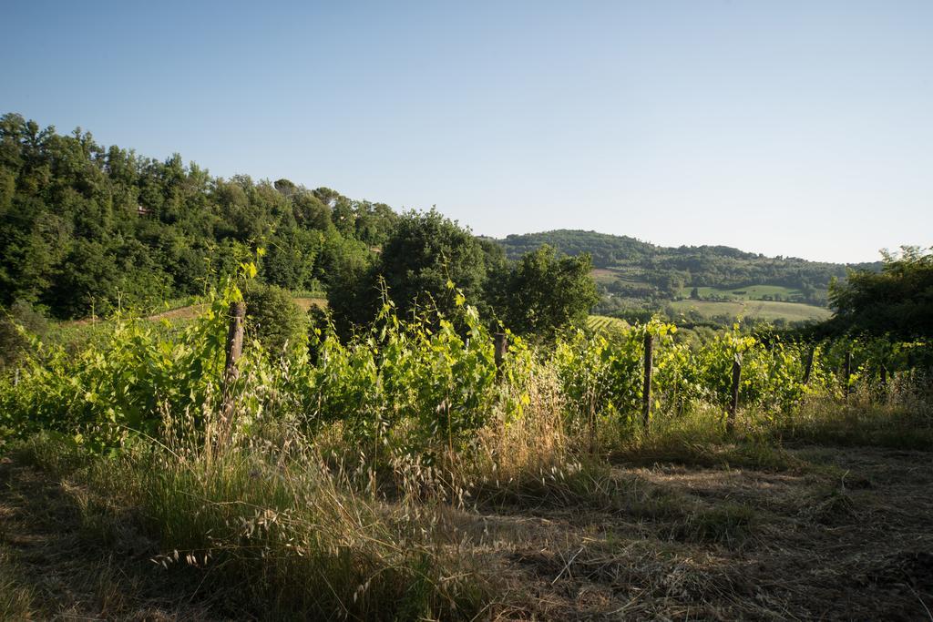 B&B Le Dimore Mezza Costa San Casciano in Val di Pesa Luaran gambar