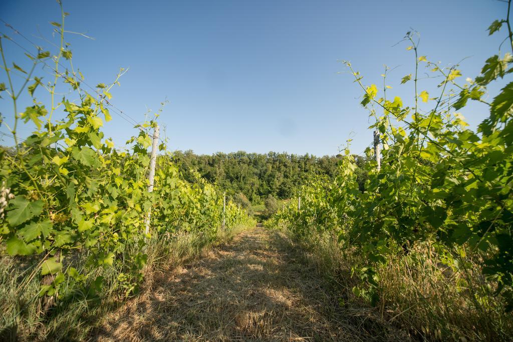 B&B Le Dimore Mezza Costa San Casciano in Val di Pesa Luaran gambar